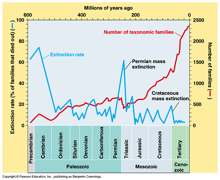 taxonomic-family-increase-graph.gif
