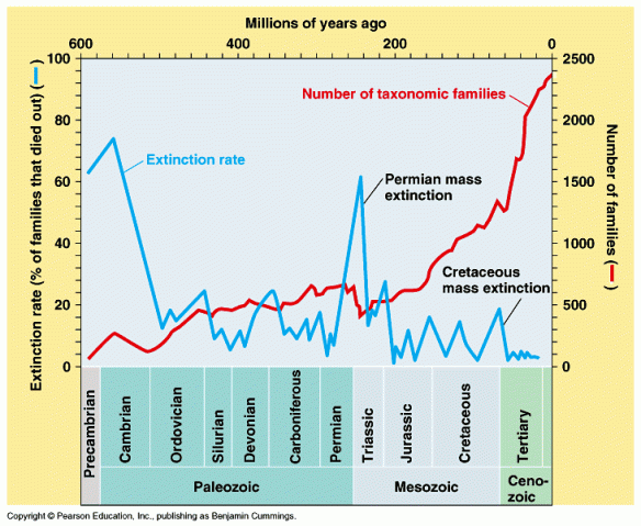taxonomic family increase graph